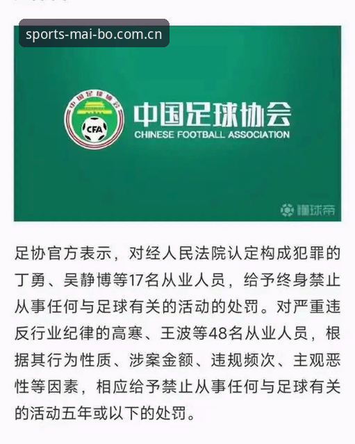 迈博体育平台 中国足协第三批禁足名单全面评测——迈博体育平台视角下的行业风暴